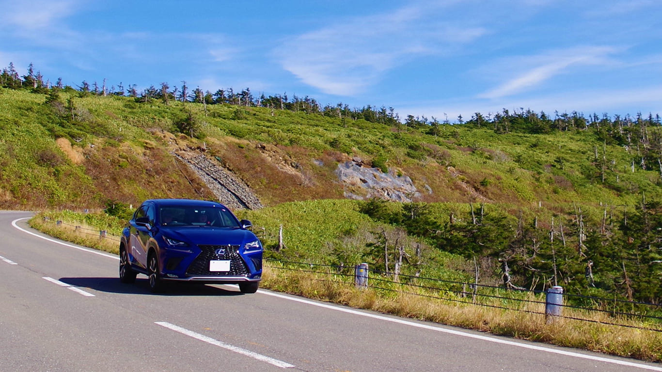 メインイメージ1